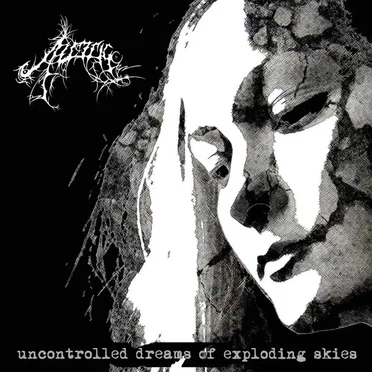 Uncontrolled Dreams of Exploding Skies