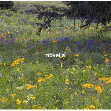 Novella