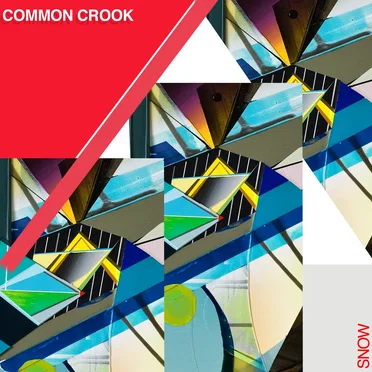 Snow by Common Crook - album cover