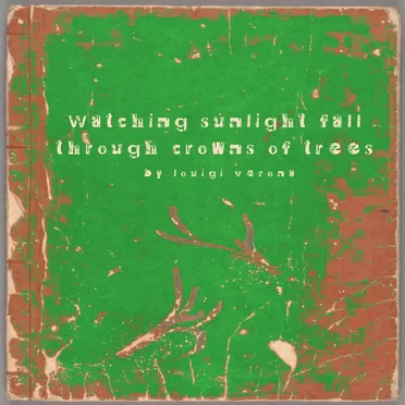 Watching Sunlight Fall Through Crowns of Trees