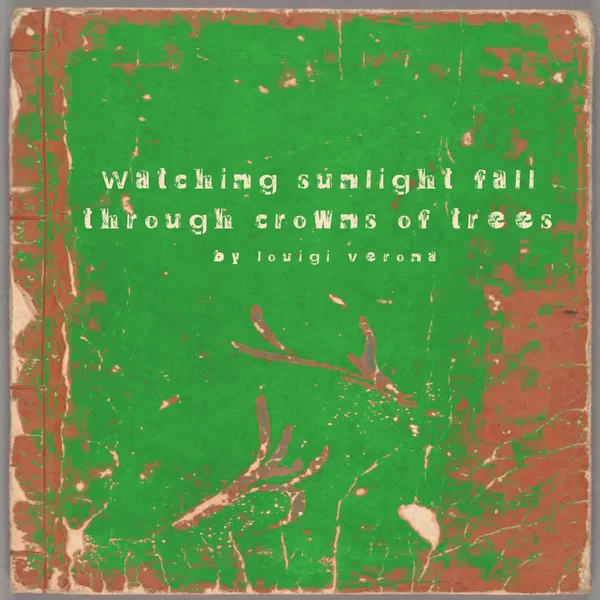 Watching Sunlight Fall Through Crowns of Trees