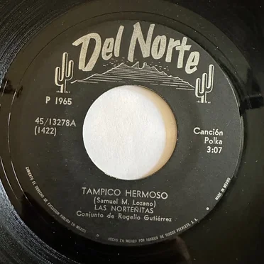 Tampico hermoso / Mi único camino