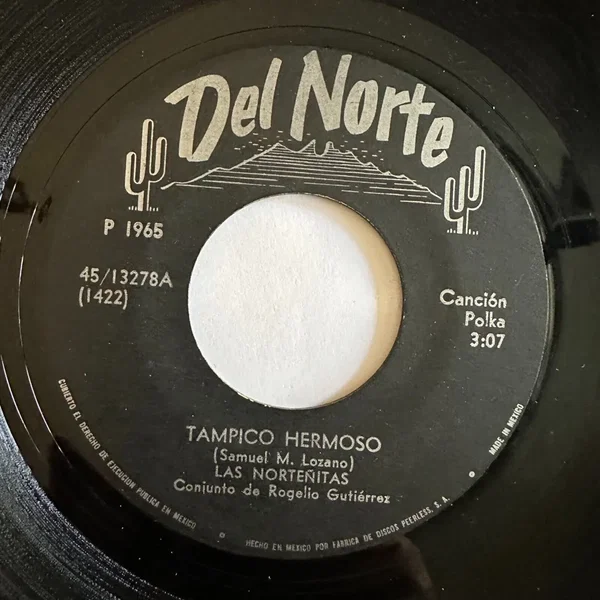 Tampico hermoso / Mi único camino