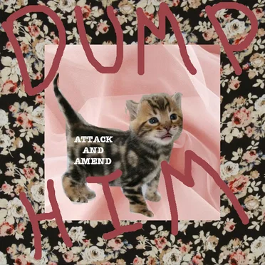 post-tour whatever by DUMP HIM - album cover