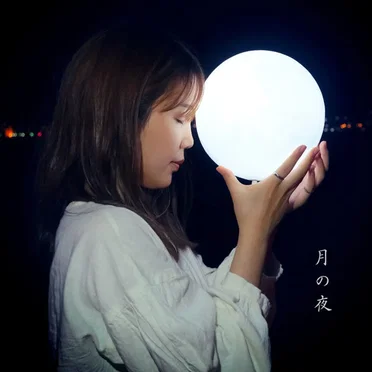 月の夜
