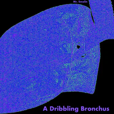 A Dribbling Bronchus