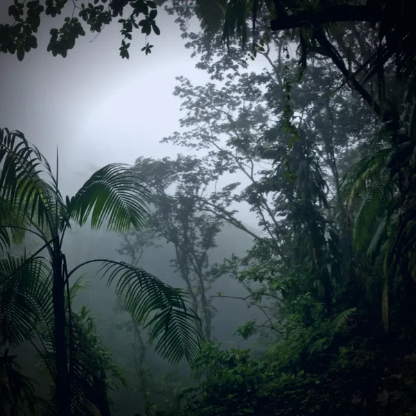 Stoned in the Backwoods, Vol. 2
