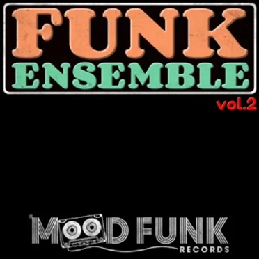 Funk Ensemble, Vol. 2 by Various Artists - album cover