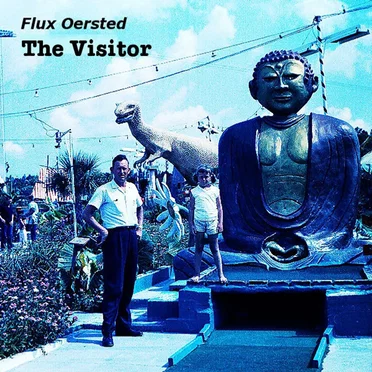 The Visitor