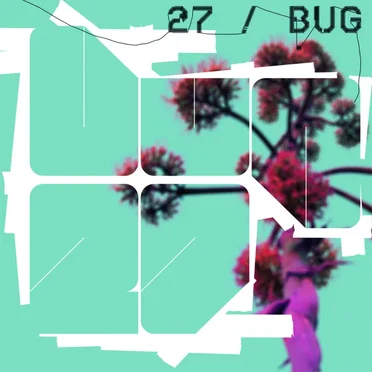 27 / Bug
