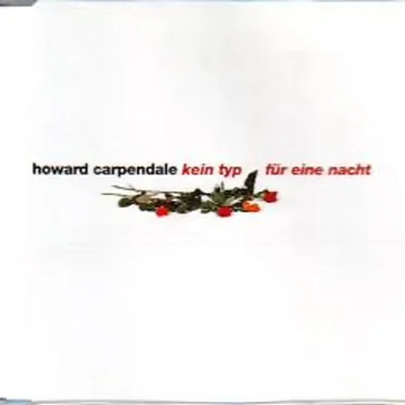 Kein Typ für eine Nacht