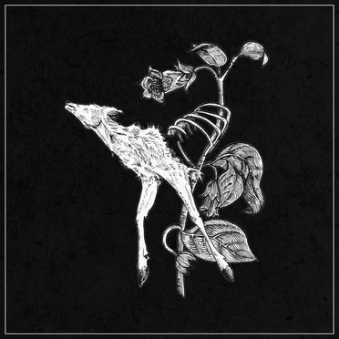 World of Decay