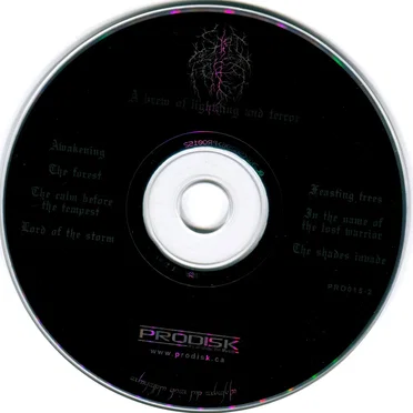 A Brew of Lightning and Terror by Spirit of the Forest - album cover