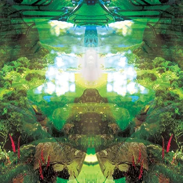 The Invisible Landscape