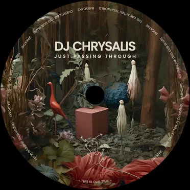 Just Passing Through by DJ Chrysalis - album cover