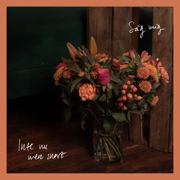 Inte nu men snart by Säg mig - album cover