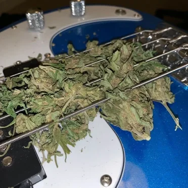 Too much weed by 12000 Suns - album cover