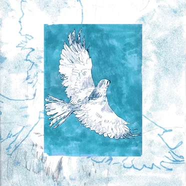 Flight of the Hawk