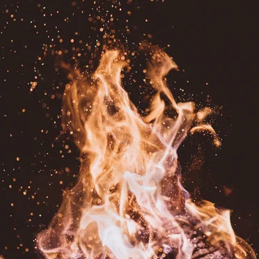 The Isolation Concerts, Volume 17