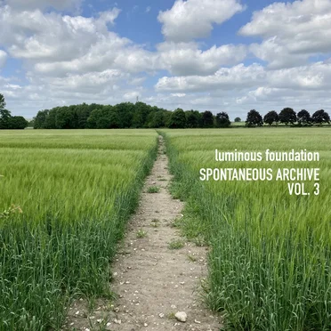 Spontaneous Archive Vol. 3