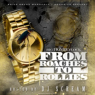 From Roaches to Rollies by Waka Flocka Flame - album cover