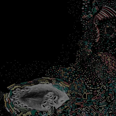 Pyramid Room Exit by Comfort Creature - album cover