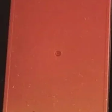Orange Rainbow