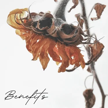 Benefits by Cole Woodruff - album cover