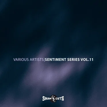 Sentiment Series Vol.11 by Various Artists - album cover