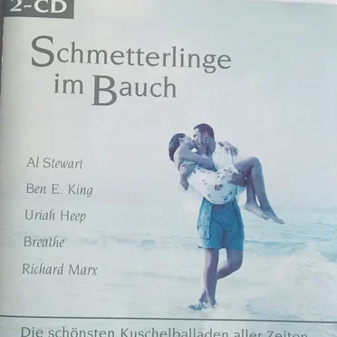 Schmetterlinge im Bauch by Various Artists - album cover