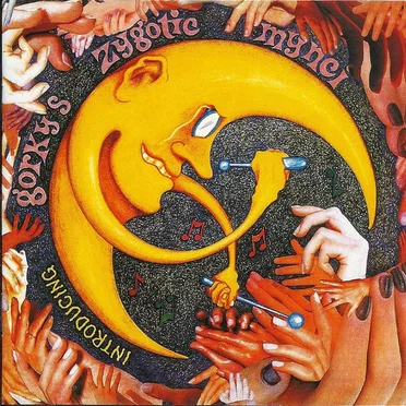 Introducing...Gorky’s Zygotic Mynci