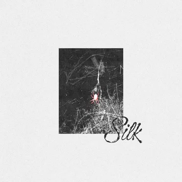 Silk by LATE 90s - album cover