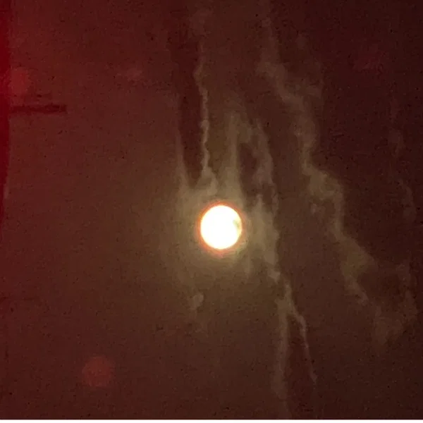 More to Life