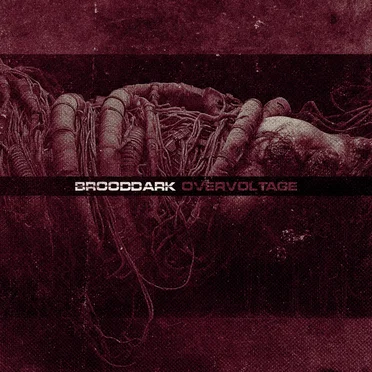Overvoltage by Brooddark - album cover