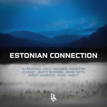 Estonian Connection by Various Artists - album cover