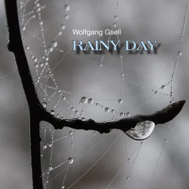 Rainy Day