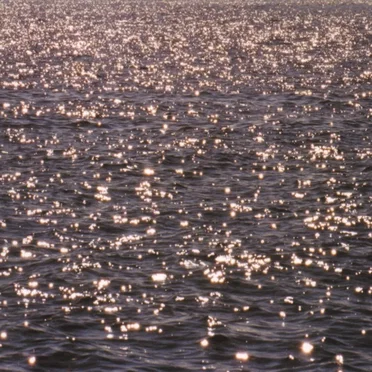 The Rejuvenation Ballet: Music for Those Across the River