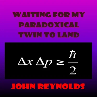 Waiting For My Paradoxical Twin To Land