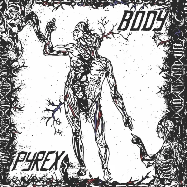 Body