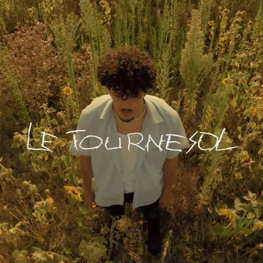 Le Tournesol