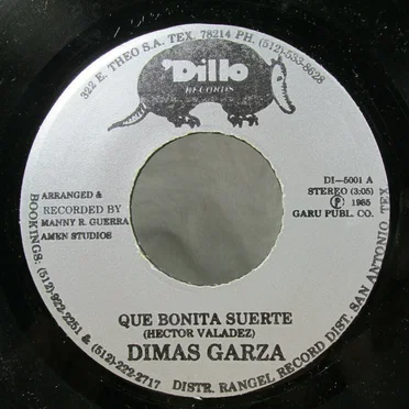 Que bonita suerte / Tu prieto II by Dimas Garza - album cover