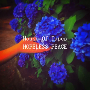 HOPELESS PEACE