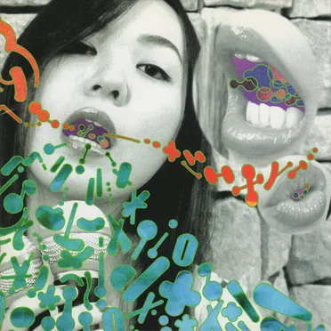It’s Brand New by Seagull Screaming Kiss Her Kiss Her - album cover