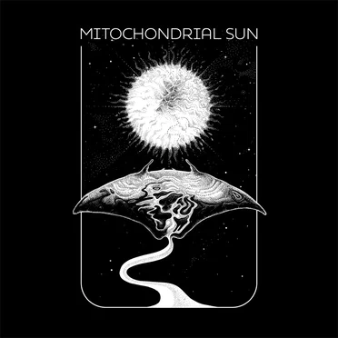 Nyaga by Mitochondrial Sun - album cover