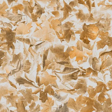 Fallen Leaves by sumishii - album cover