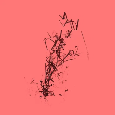 Klaidosklaida (reworks) by Sraigės efektas - album cover