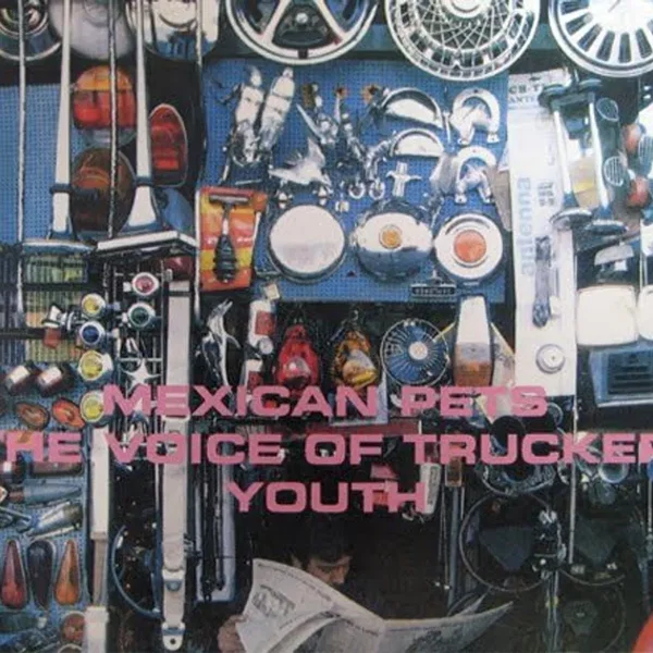 The Voice of Trucker Youth