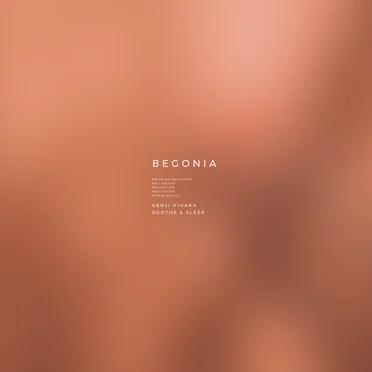Begonia