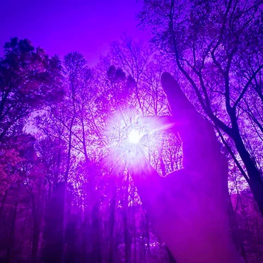 ULTRAVIOLET by wishlane - album cover