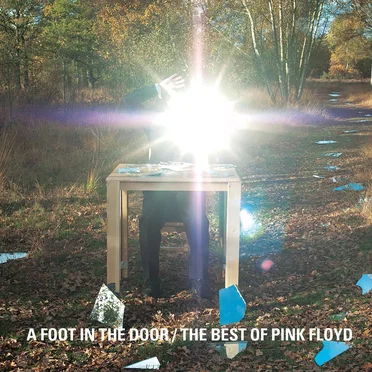 A Foot in the Door / The Best of Pink Floyd